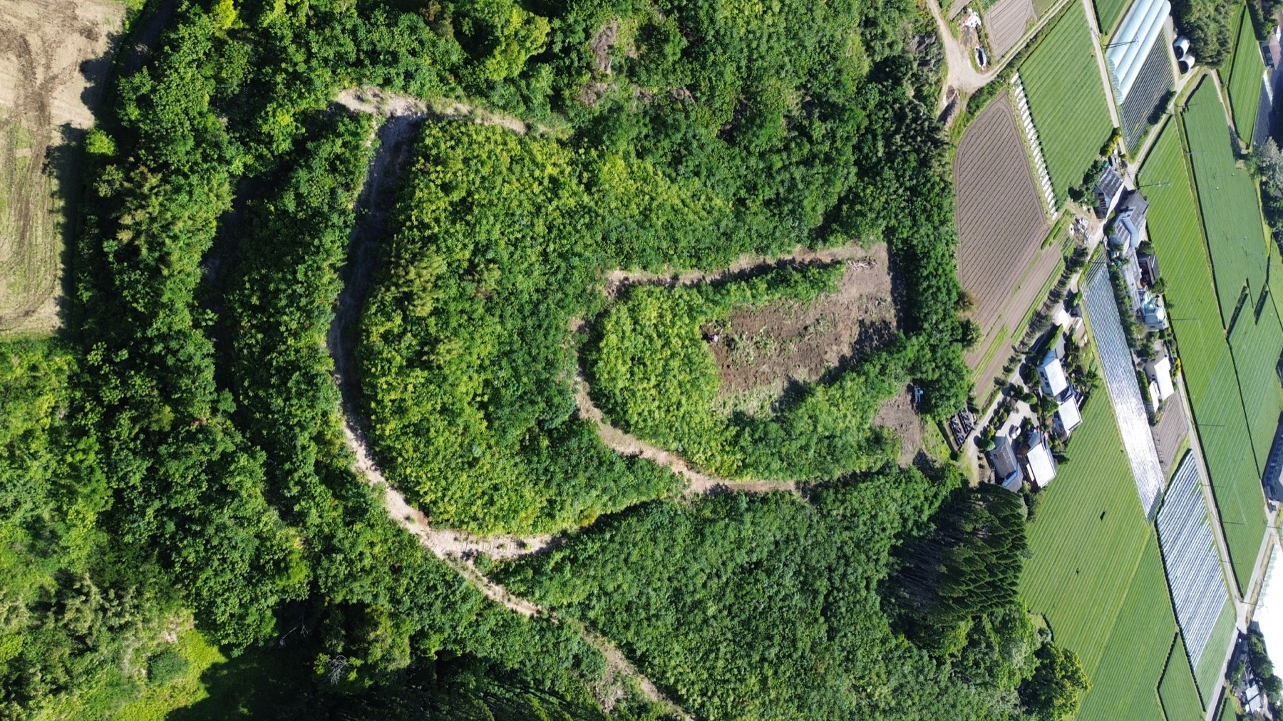 Aerial view of the Asatora mountain site in Shibushi — the retreat clearing taking shape among the tea fields